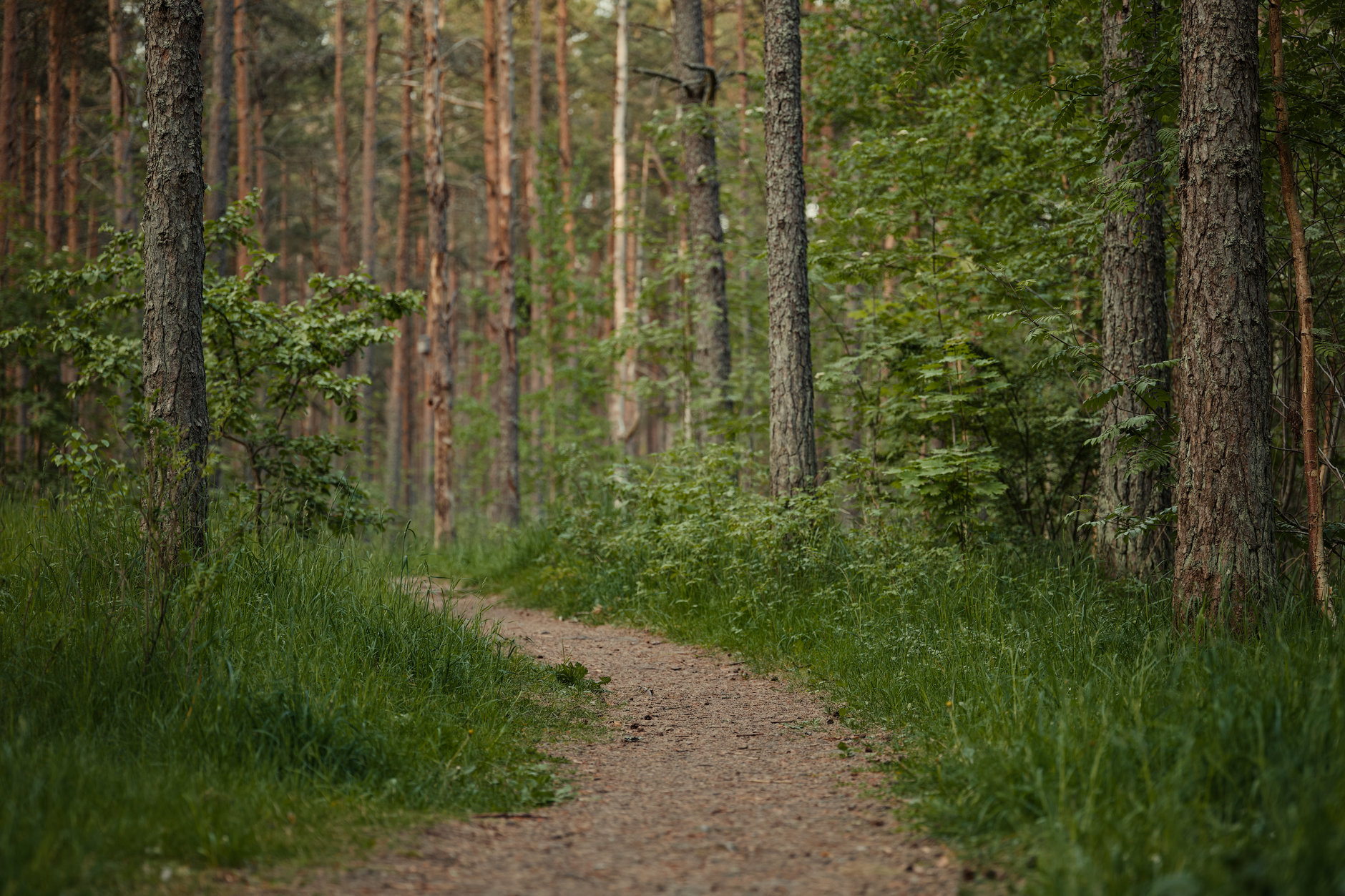 Loneliness as a Health Risk: What the Research Actually Shows - Health and wellness article