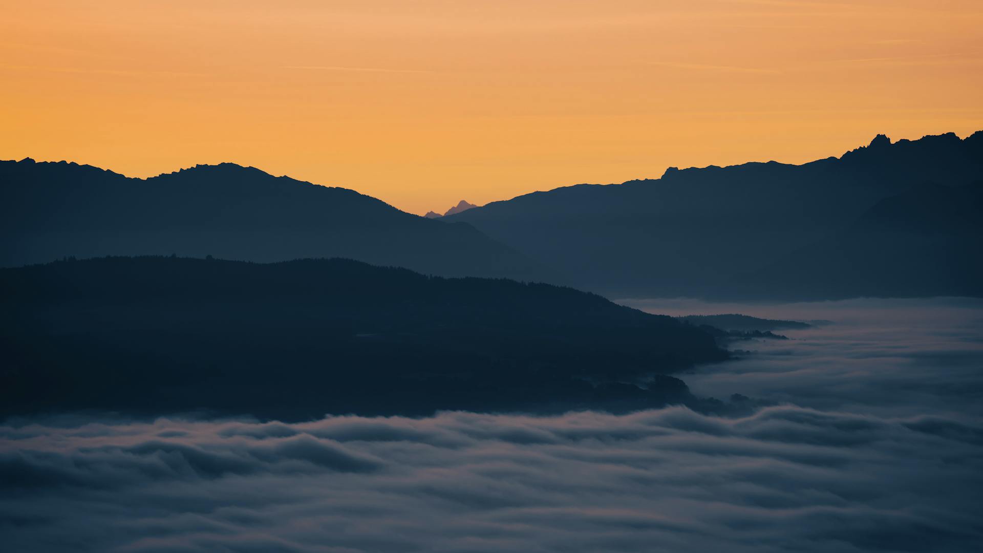 Morning Sunlight and Circadian Health: A Simple Daily Anchor - Health and wellness article