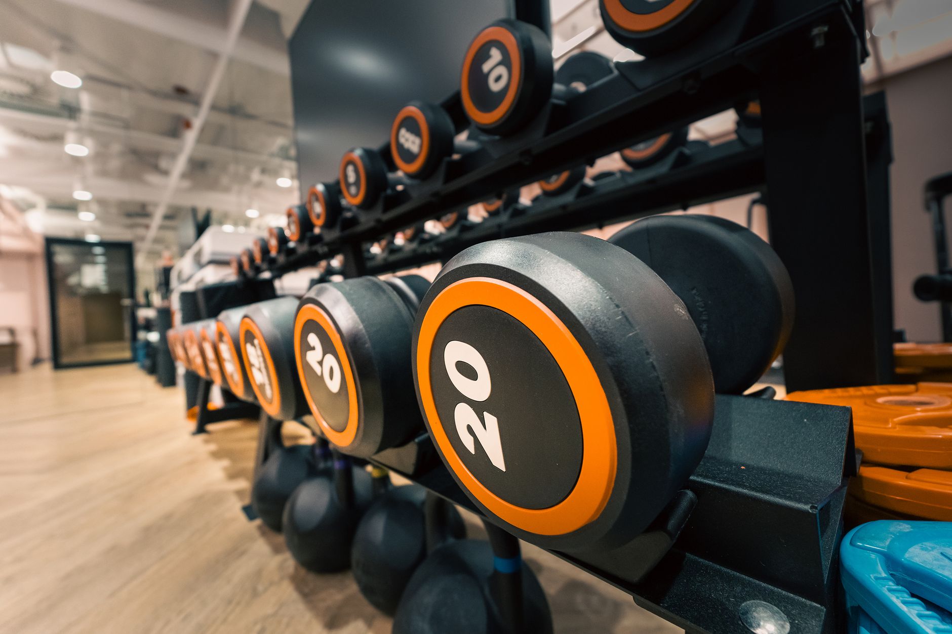 Progressive Overload: The One Principle That Actually Builds Strength - Health and wellness article