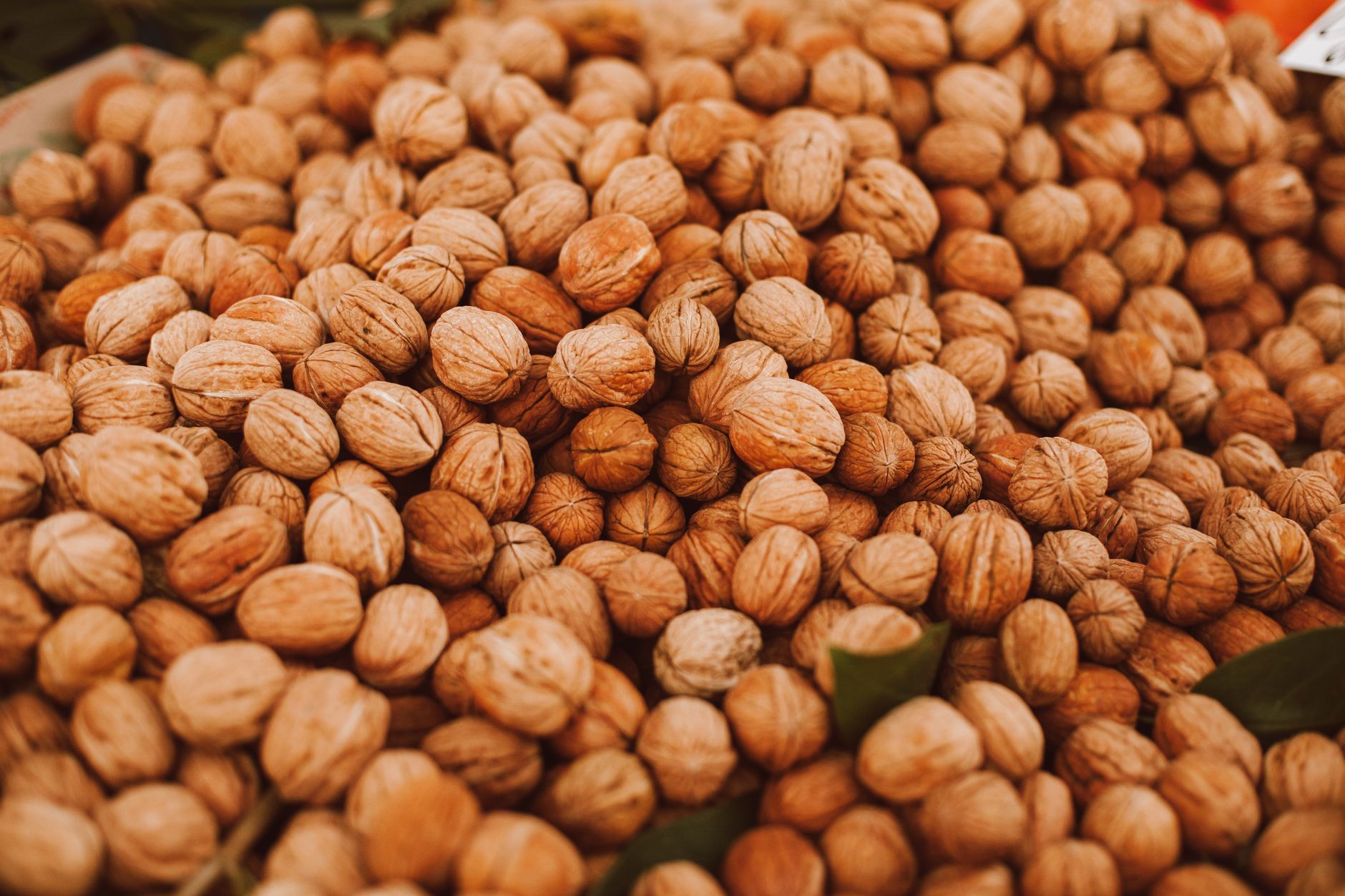 Zinc deficiency signs are easy to miss—frequent colds, slow-healing cuts, changes in taste. Here is what may help, and why absorption matters more than intake.