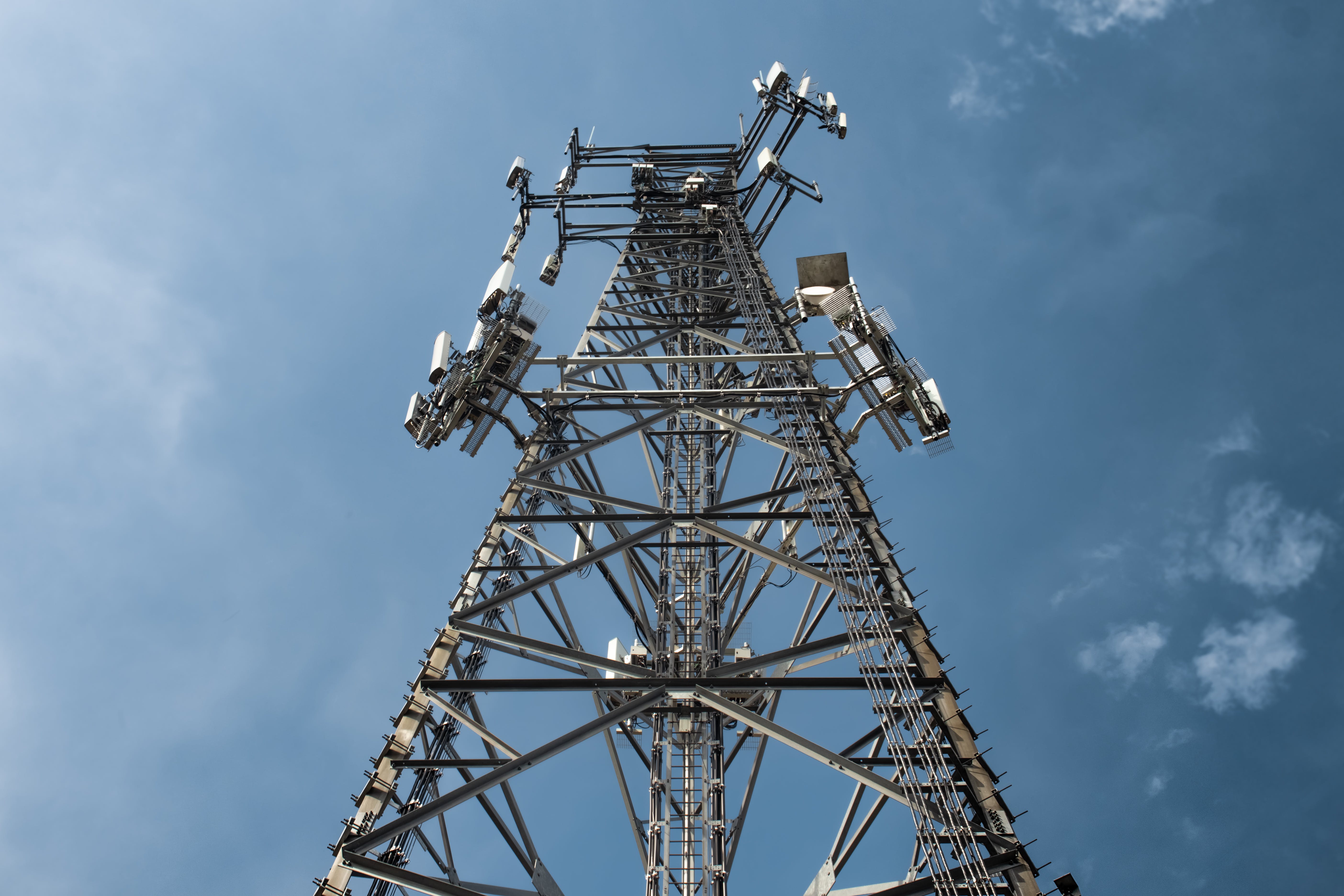 Is Wifi bad for you? Why Elon Musk was wrong about EMFs - Health and wellness article