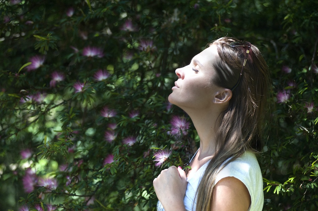The Art of Equanimity: Finding Balance in Life - Health and wellness article