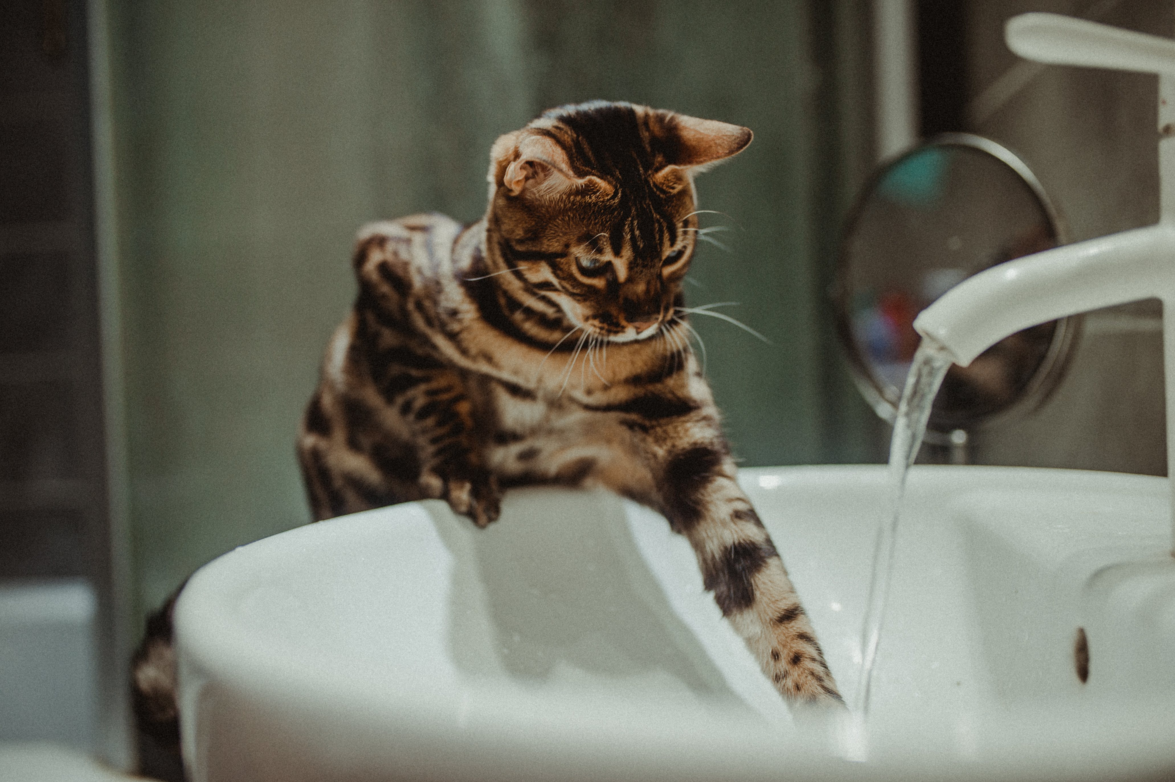 Is Tap Water Toxic? - Health and wellness article