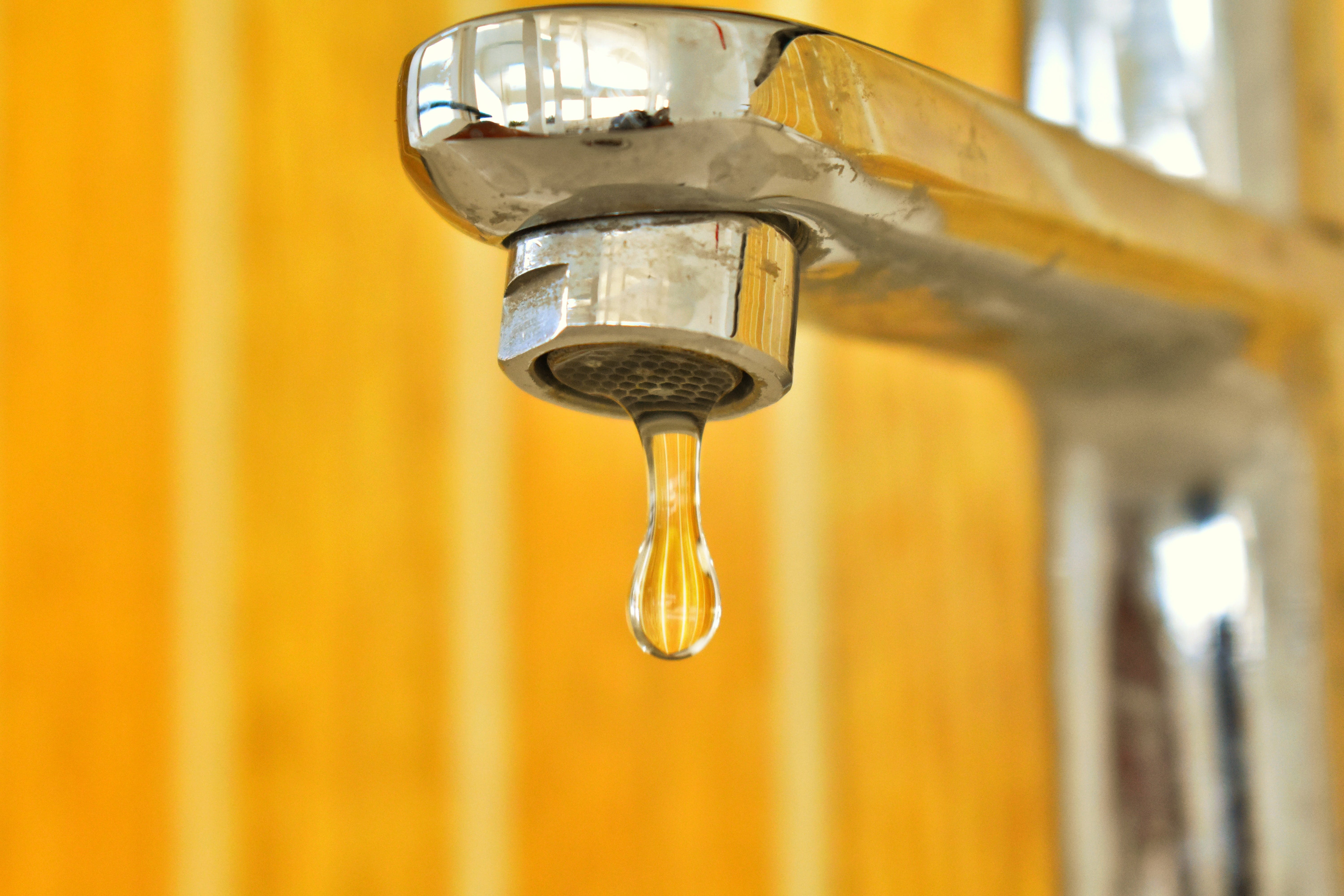 In this article, we're exploring some common dangers presented in our everyday tap water.